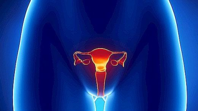 CICLO DE FORMACIÓN: EL LABORATORIO DE ENDOCRINOLOGÍA: HORMONAS FEMENINAS 11 2020