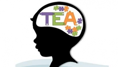 Diplomado Trastorno del Espectro Autista psicoeducativo